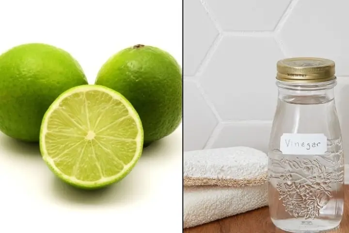 Cách Khử Mùi Tanh Của Cá Lóc Đồng