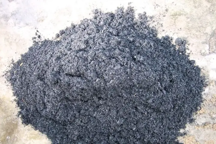 Cách Khử Mùi Tanh Của Cá Lóc Đồng