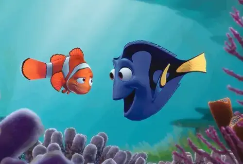 Giải Mã Câu Hỏi: Cá Nemo Giá Bao Nhiêu?