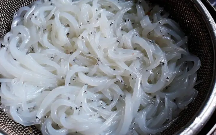 5cá Ngần Sông Đà Và Cá Ngần Sông Mê Kông