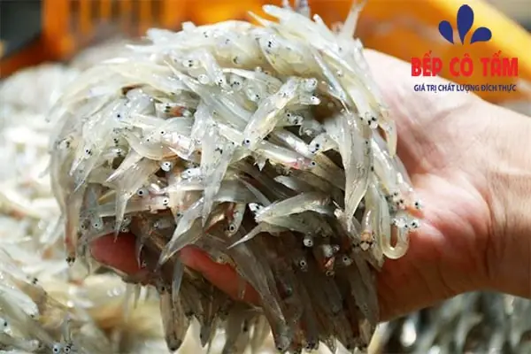 Nhận Biết Cá Mờm Cơm