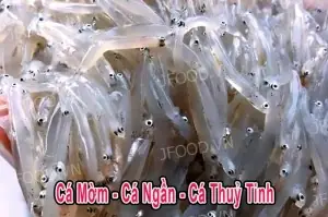 Cã¡ Cæ¡m Má»m Tæ°æ¡i, Cã¡ Ngáº§n Tæ°æ¡i, Cã¡ Thuá»· Tinh