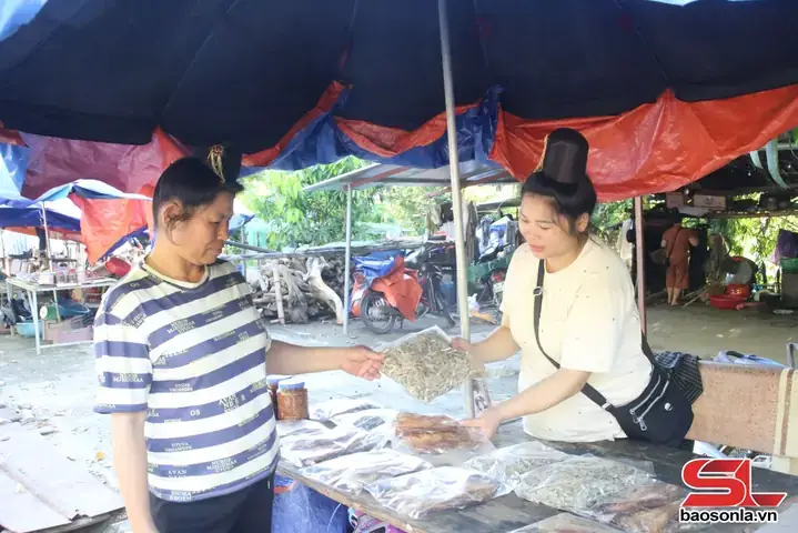Nguồn Gốc Và Đặc Điểm Sinh Học Của Cá Ngão Sông Đà