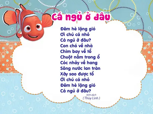 Cá Ngủ Ở Đâu? Tìm Hiểu Nơi Nghỉ Ngơi Của Các Loài Cá Dưới Lòng Đại Dương