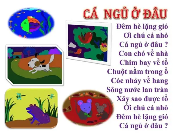 Cá Ngủ Ở Đâu? Tìm Hiểu Nơi Nghỉ Ngơi Của Các Loài Cá Dưới Lòng Đại Dương