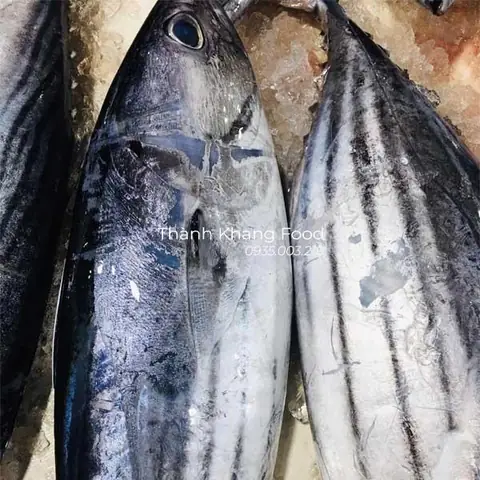 Bán Cá Ngừ Sọc Dưa Tại Đà Nẵng & Nhận Ship Hàng Toàn Quốc?