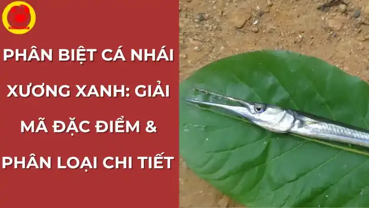 Hướng Dẫn Chi Tiết Cách Phân Biệt Cá Nhái Xương Xanh Qua Đặc Điểm Hình Thái