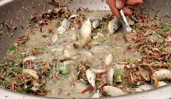 Món Cá Sống Nhảy Tanh Tách Đã Ăn Được "chế Biến" Như Thế Nào? - Ảnh 1.