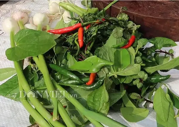 Món Cá Sống Nhảy Tanh Tách Đã Ăn Được "chế Biến" Như Thế Nào? - Ảnh 3.