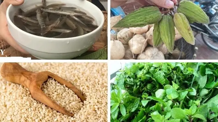 Nguồn Gốc Và Đặc Điểm Của Cá Nhảy Tây Bắc