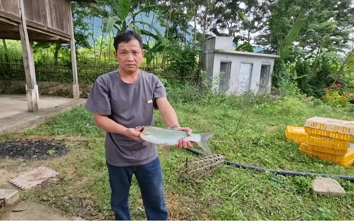 Trứng Ba Ba Hút Hàng Vì Ngon, Lạ Miệng, Khách Mua Một Lần Cả Trăm Quả04/11/2022 10:30