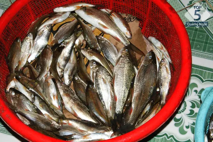 Cá Niên Là Cá Gì? Hương Vị Ra Sao?