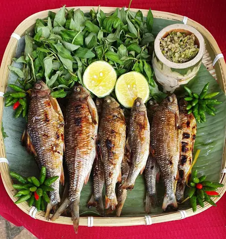 Cá Niên Quảng Ngãi