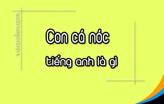 Con Cá Nóc Tiếng Anh Là Gì