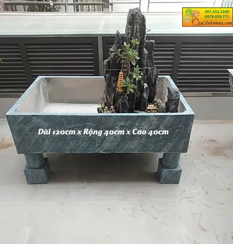 Hướng Dẫn Chi Tiết Nuôi Cá Trong Bể Xi Măng Hiệu Quả, Tiết Kiệm Chi Phí