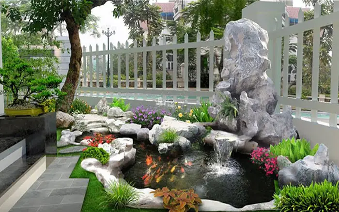Top 12 Loài Cá Nuôi Ngoài Trời Được Yêu Thích Nhất: Dễ Chăm, Sống Khỏe, Vẫn Lên Màu Rực Rỡ