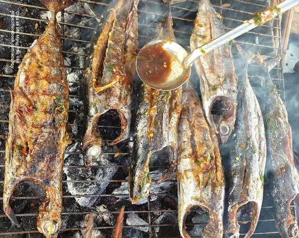 Phú Yên: Cá Ồ Là Cá Gì Mà Khách Lạ Đến Đây Khi Ăn Muốn An Toàn Thì Bẻ Một Tí Đuôi Ăn Trước? - Ảnh 1.