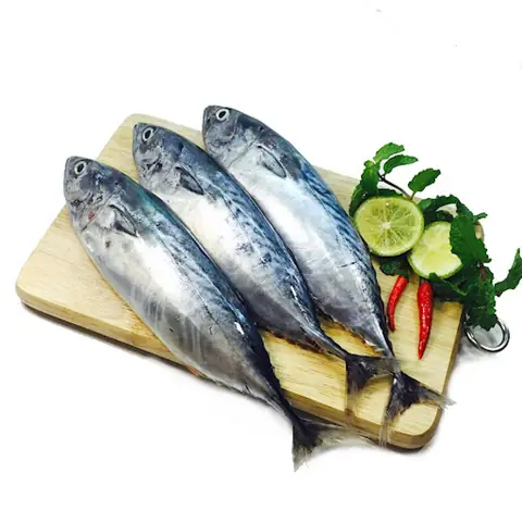 Cá Ồ Phú Yên Là Cá Gì?
