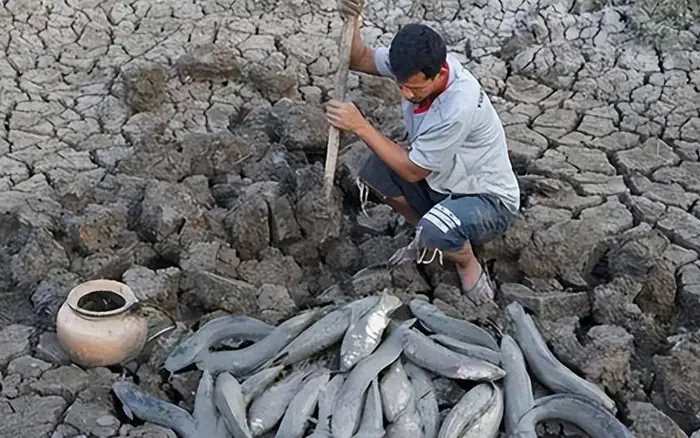 Cá Phổi Châu Phi: Chàng 'hoàng Tử Ngủ Đông' 5 Năm Không Ăn Không Uống