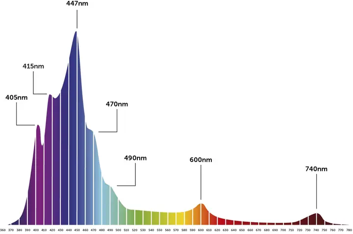 The Spectrum