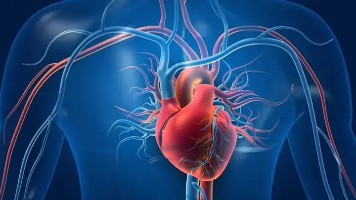 Giảm Viêm Và Hỗ Trợ Hệ Miễn Dịch