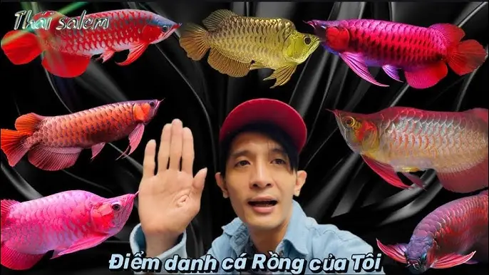 Cá Rồng Hai Đầu: Hiện Tượng Đột Biến Kỳ Lạ Hay Chiêu Trò Lừa Đảo? Cá Rồng Hai Đầu: Hiện Tượng Đột Biến Kỳ Lạ Hay Chiêu Trò Lừa Đảo?