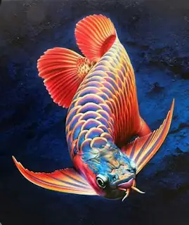 Cá Rồng Huyết Long