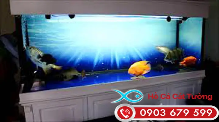 Cá Rồng Sợ Đèn: Giải Mã Hiện Tượng & Cách Xử Lý Chuẩn Chuyên Gia