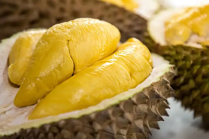 Sầu Riêng Và Mít