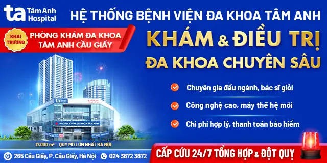 Collagen Có Nhiều Trong Thực Phẩm Nào?