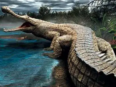 Cá Sấu Dài 12m: Có Thật Sự Tồn Tại Loài Bò Sát Khổng Lồ Này?