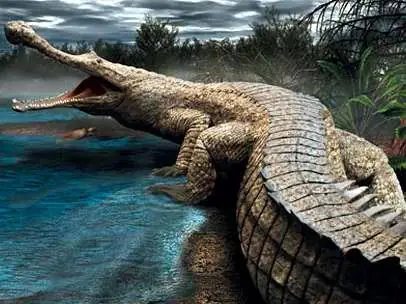 Cá Sấu Dài 12m: Có Thật Sự Tồn Tại Loài Bò Sát Khổng Lồ Này?