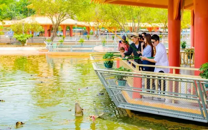 Bảng Giá Tham Khảo Cá Sấu Giống (cá Sấu Xiêm)