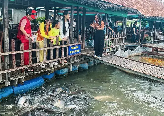 Tổng Quan Về Cá Sơn Nước Ngọt: Định Nghĩa Và Đặc Điểm Nổi Bật
