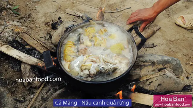 Mục 1: Cá Có Vẩy