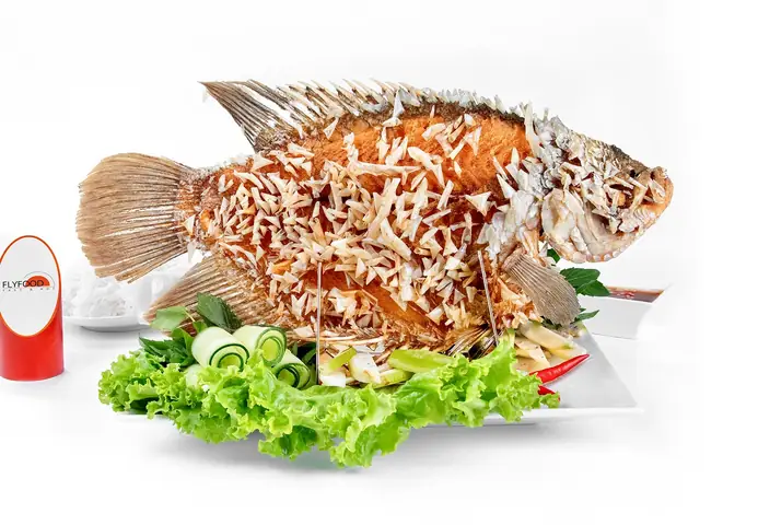 Cá Tai Tượng Giá Bao Nhiêu