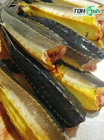 Vì Sao Quý Khách Nên Chọn Mua Cá Tầm Đà Lạt Nguyên Con Tại Toh Fish?