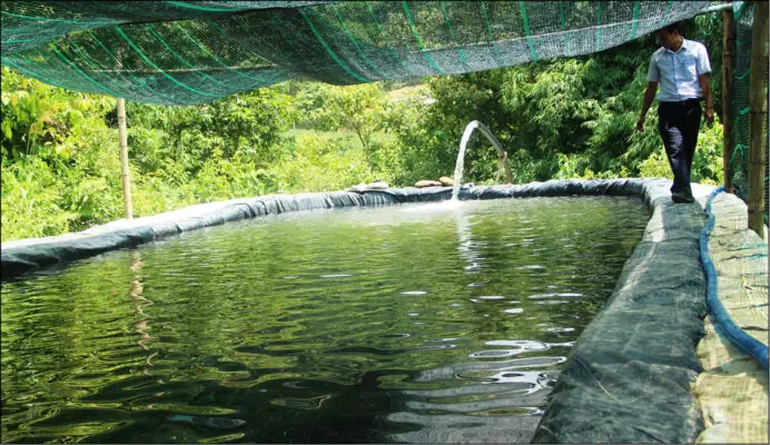 Chất Lượng Nước