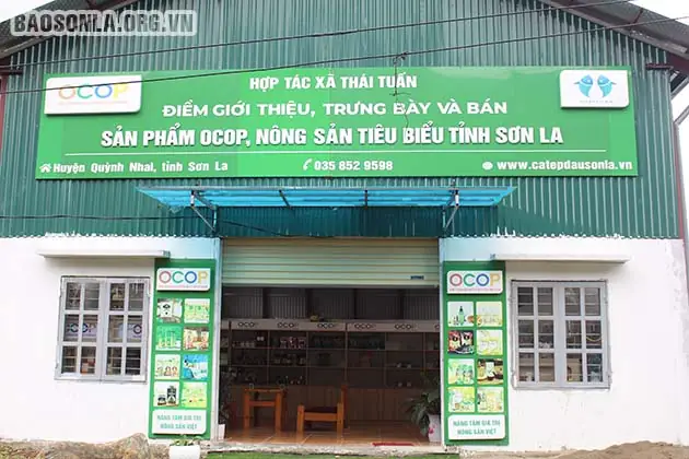 Cá Tép Dầu Sông Đà