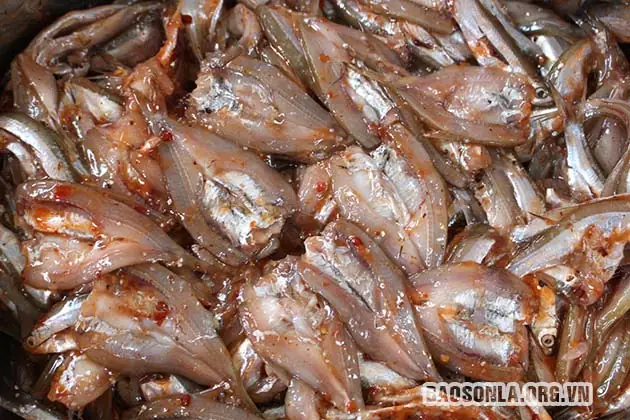 Cá Tép Dầu Sông Đà