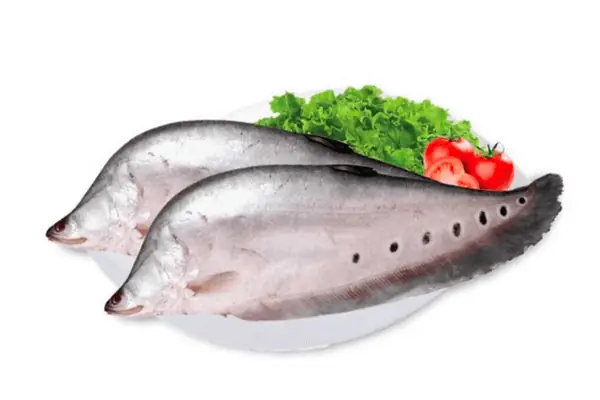 Nhữngcông Dụng Của Cá Thát Látmà Bạn Có Thể Không Thể Ngờ Đến