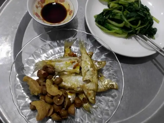 Cá Thầu Dầu Là Cá Gì