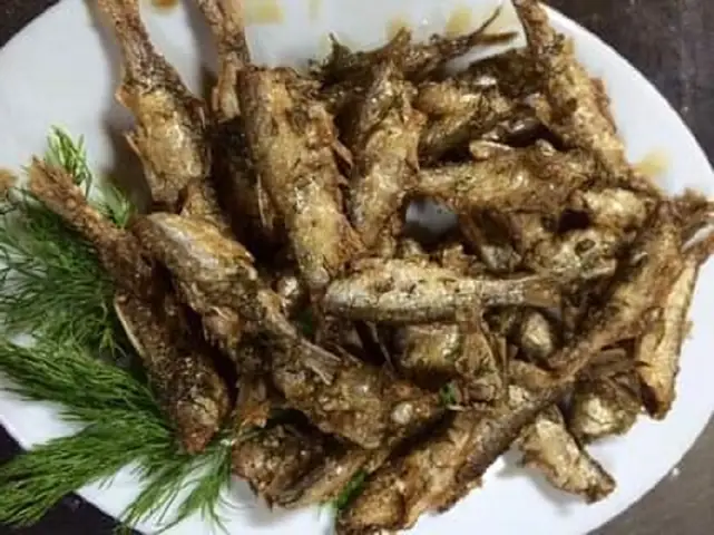 Cá Thầu Dầu Là Cá Gì