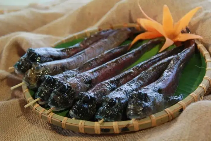 Giá Trị Dinh Dưỡng Từ Cá Thòi Lòi Biển​
