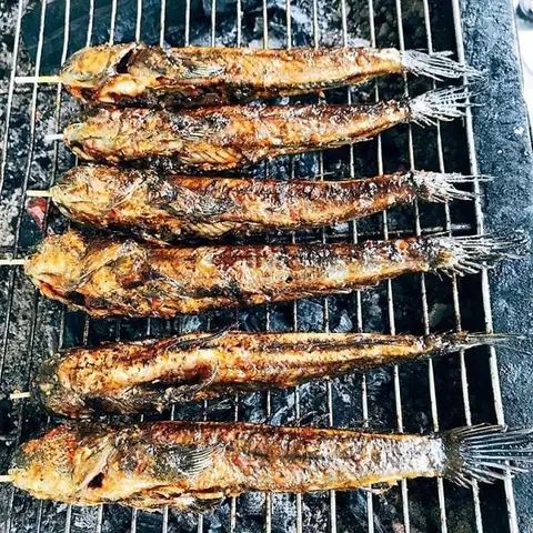 Kinh Nghiệm Chọn Cá Thòi Lòi Tươi Ngon