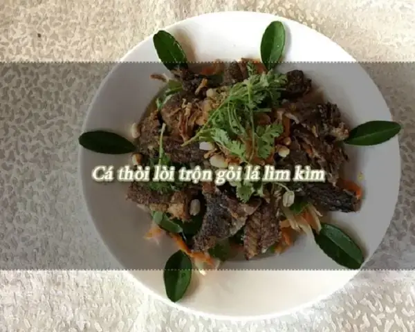 Cá Thòi Lòi Cần Giờ Là Gì? Đặc Điểm Nhận Dạng