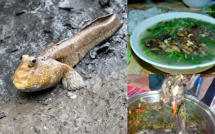 Cá Thòi Lòi Nấu Ngót