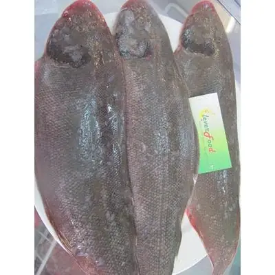 Cá Thờn Bơn Biển: Đặc Sản Dinh Dưỡng Từ Đại Dương