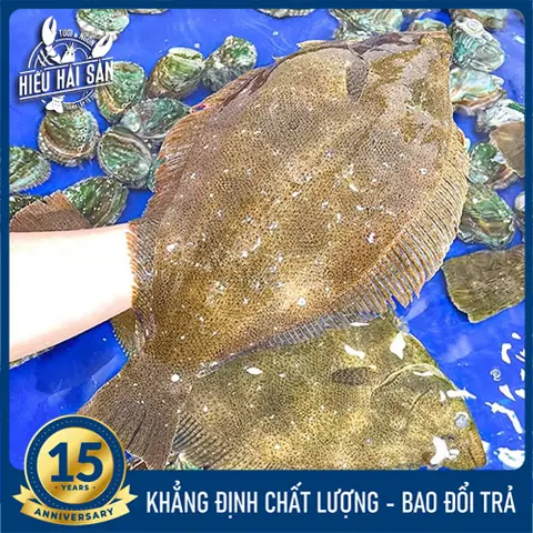 Cá Thờn Bơn Biển: Đặc Sản Dinh Dưỡng Từ Đại Dương