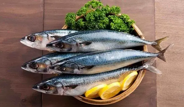 Giá Trị Dinh Dưỡng Cá Thu Mang Lại Cho Bầu Nếu Chọn Đúng Loại Và Ăn Vừa Phải